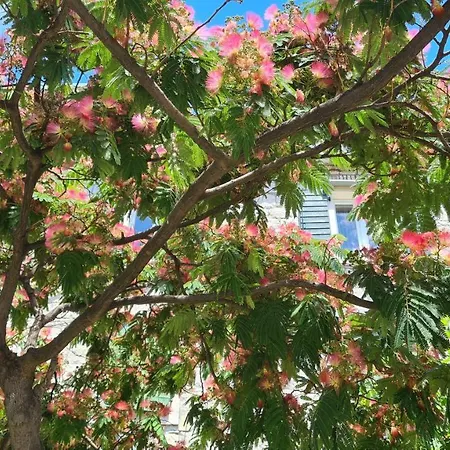 Pensionat Nirvana & 3*