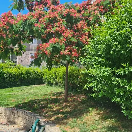 게스트하우스 너바나 룸&아파트 스플리트